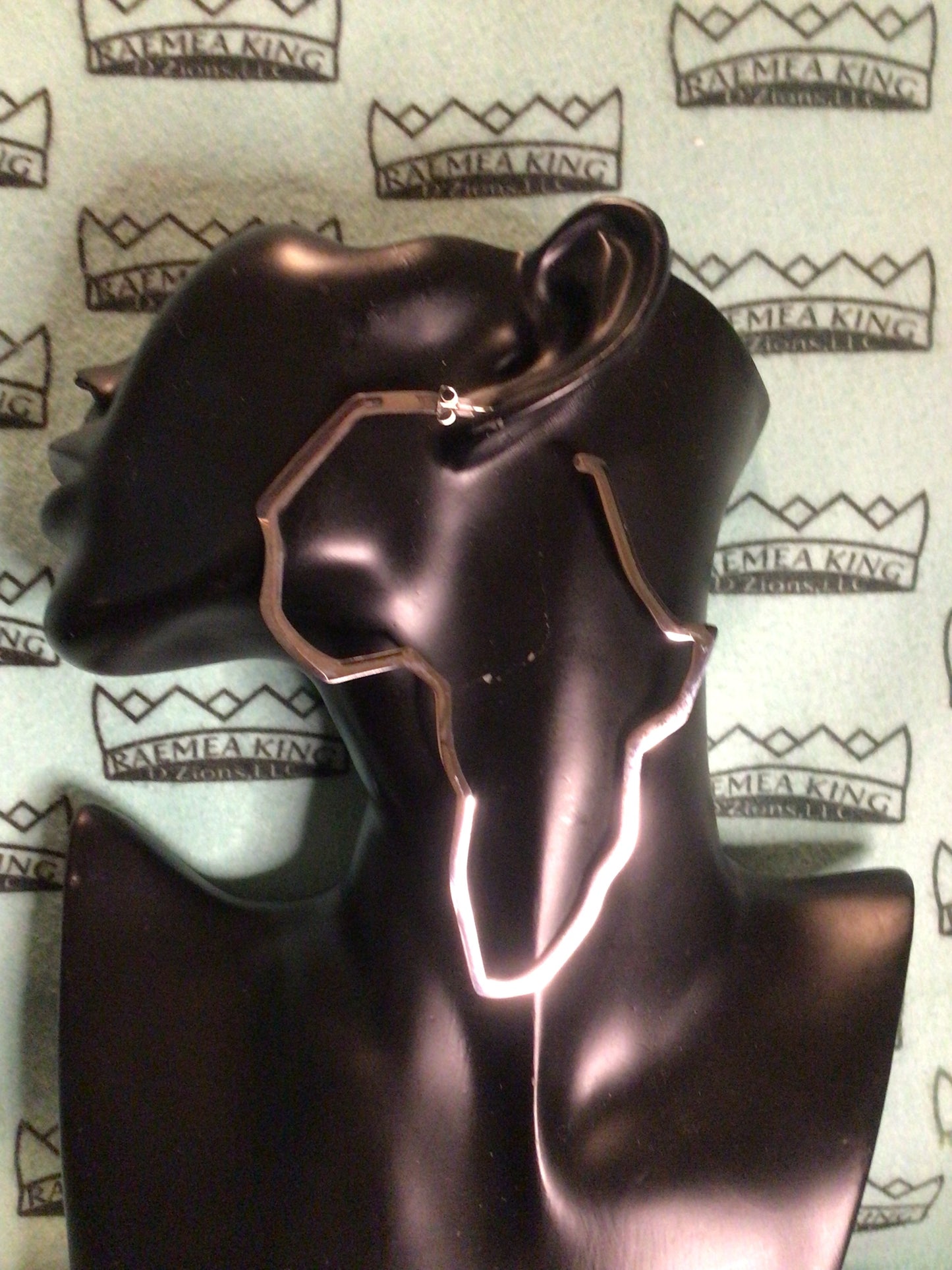 A stainless-steel earring in the shape of the African continent.